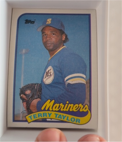 1989 Topps #597 Terry Taylor — front