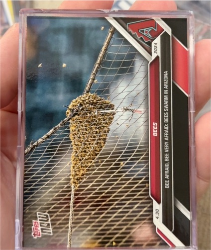2024 Topps #430 Bees Swarm in Arizona — front