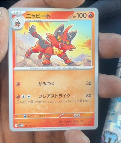 2024 Pokémon #021 Torracat — front