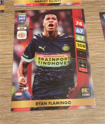 2025 Panini Adrenalyn XL FIFA 365 #233 Ryan Flamingo — front