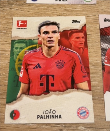 2024 Topps Bundesliga #262 João Palhinha — front