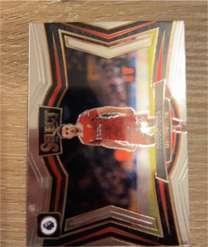2024-25 Panini Select Premier League #243 Diogo Jota — front