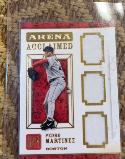 2016 Panini Pantheon Arena Acclaimed #AA-PM Pedro Martinez — front