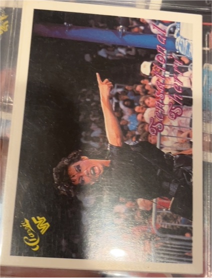 1990 Classic WWF #73 Sensational Queen Sherri — front