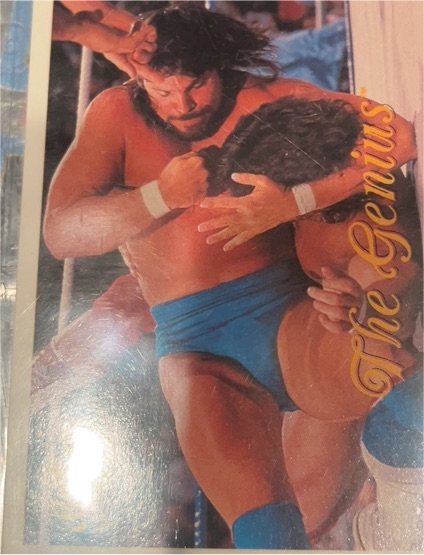 1990 Classic WWF #85 The Genius — front