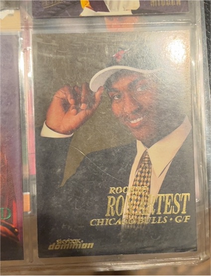1999 SkyBox Dominion #201 Ron Artest Rookie Card — front