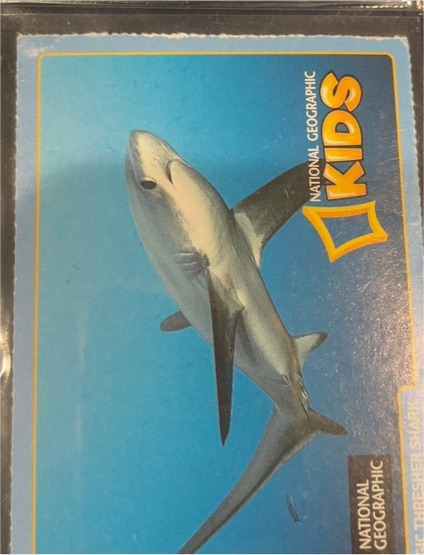 National Geographic Kids Shark Card — front