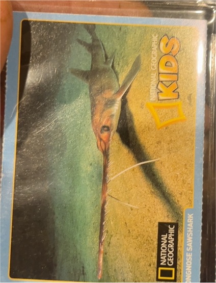 National Geographic Kids Longnose Sawshark — front