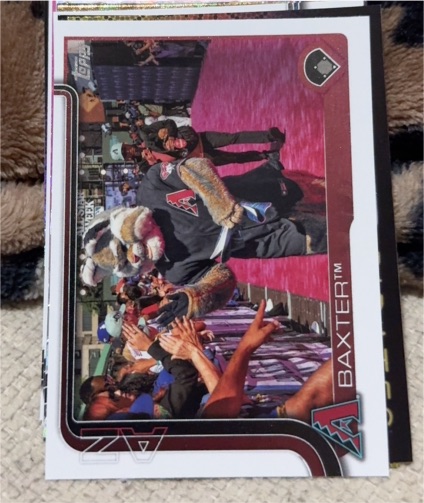 2025 Topps Celebration Mascots #M-1 Baxter — front
