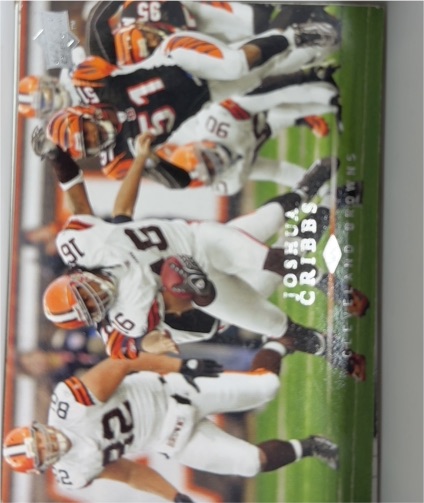 2008 Upper Deck #40 Josh Cribbs — front