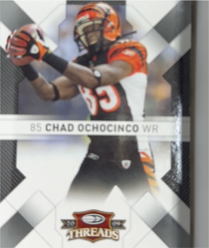 2009 Donruss Threads #22 Chad Ochocinco — front