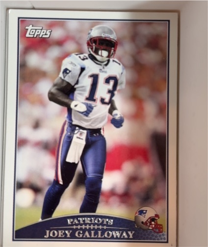 2006 Topps #263 Joey Galloway — front