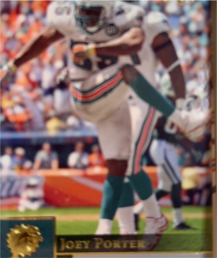 2009 Upper Deck #108 Joey Porter — front