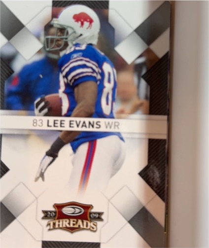 2009 Donruss Threads #10 Lee Evans — front