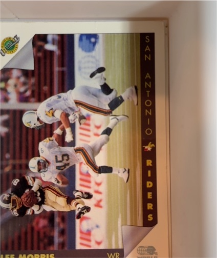 1992 AW All World Football #Lee Morris — front