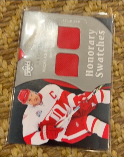 2009-10 Upper Deck Trilogy Honorary Swatches #HS-SY Steve Yzerman — front