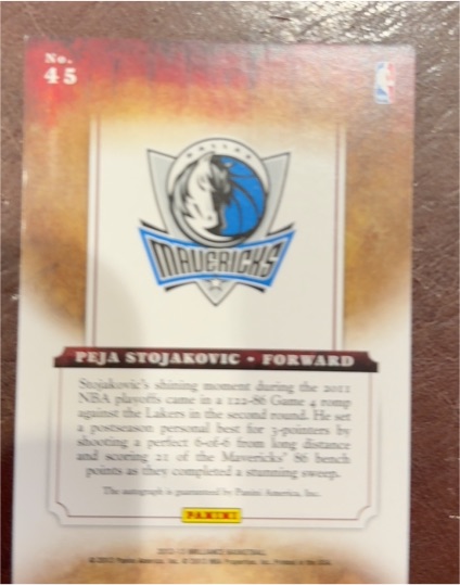 2003 Panini #45 Peja Stojakovic — front