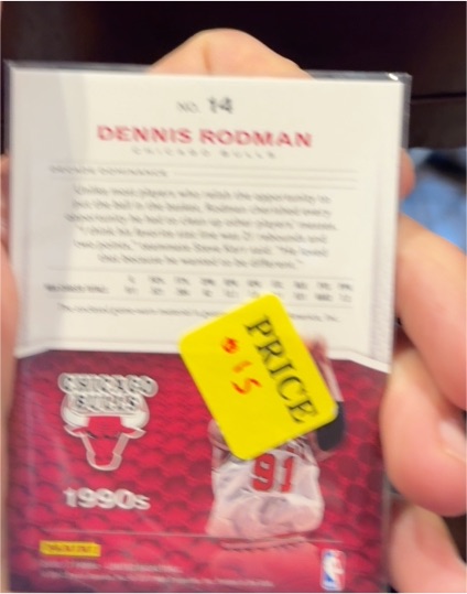 1990s Chicago Bulls #14 Dennis Rodman — front