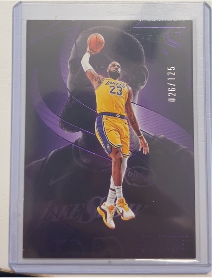 2024-25 Panini Silhouette #20 LeBron James — front