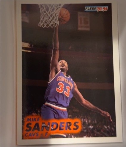 1993-94 Fleer #40 Mike Sanders — front