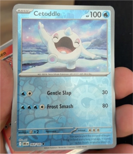 2025 Pokémon Destined Rivals #064 Cetoddle — front