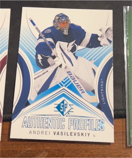 2024-25 Upper Deck SP Authentic Profiles #AP-17 Andrei Vasilevskiy — front