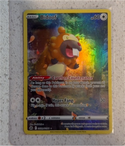2023 Pokémon Crown Zenith #GG29 Bidoof — front