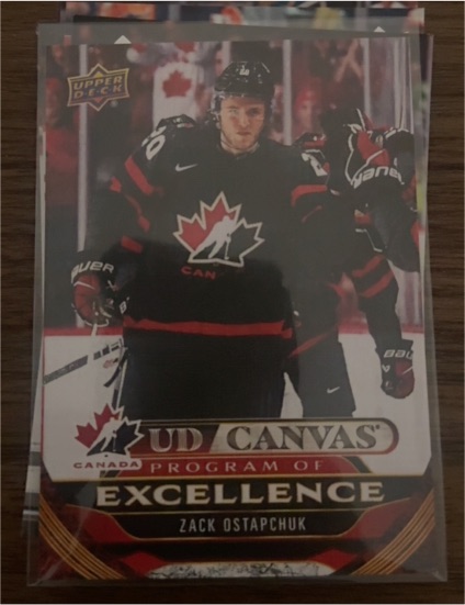 2024-25 Upper Deck Series 2 Canvas Program of Excellence #C267 Zack Ostapchuk — front
