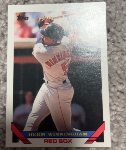 1993 Topps #377 Herm Winningham — front