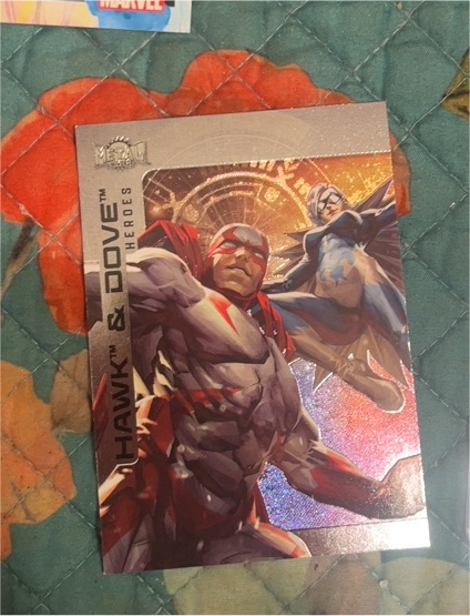 2025 Skybox Metal Universe #43 Hawk & Dove — front