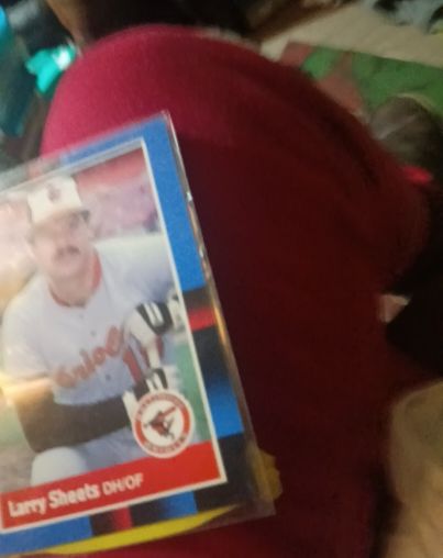 1988 Donruss #273 Larry Sheets — front