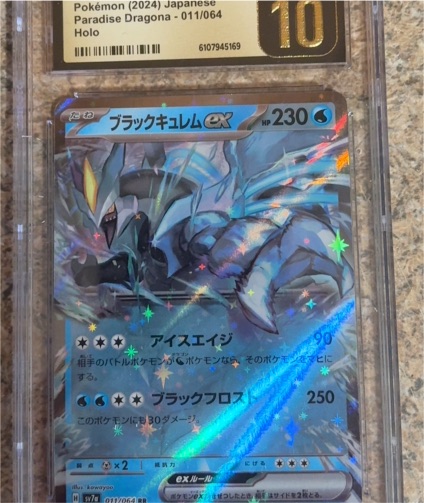 2024 Pokémon Paradise Dragona #011 Black Kyurem ex — front