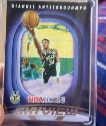 2023-24 Panini NBA Hoops Skyview #16 Giannis Antetokounmpo — front