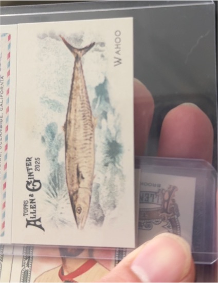2025 Topps Allen & Ginter #FGW-20 Wahoo — front