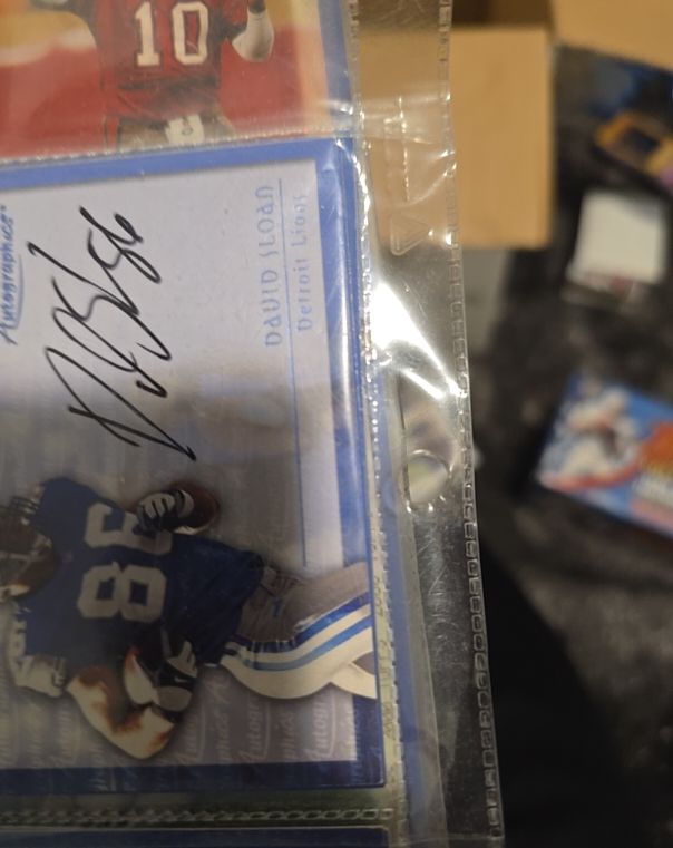 1991 AmeriCards David Sloan Detroit Lions — front