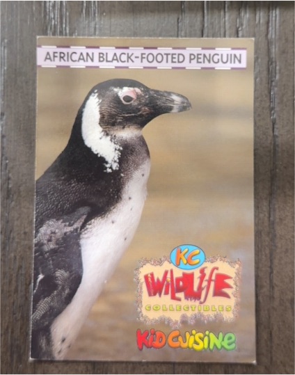 Kid Cuisine KC Wildlife Collectibles African Black-Footed Penguin — front