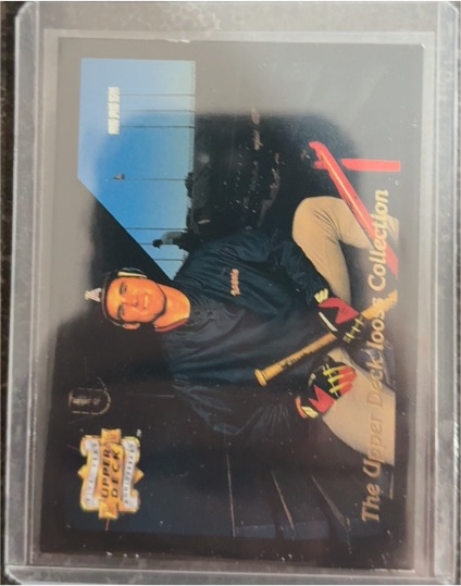 1993 Upper Deck #WI 1 Tim Salmon Iooss Collection — front