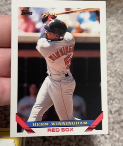 1993 Topps #377 Herm Winningham — front