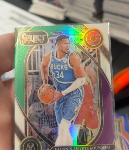 2024-25 Panini Select #137 Giannis Antetokounmpo — front