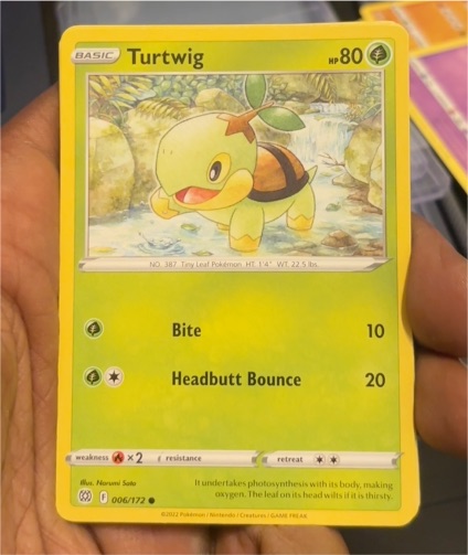 2022 Pokémon Sword & Shield Brilliant Stars #006 Turtwig — front