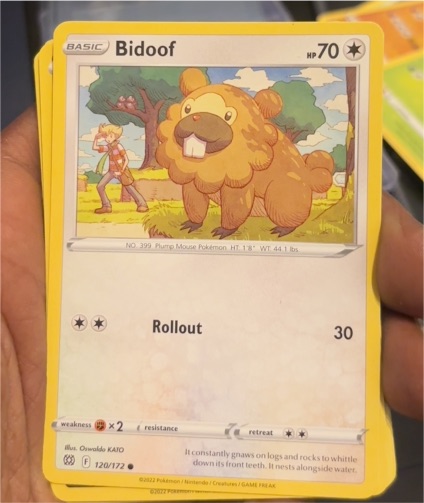 2022 Pokémon Sword & Shield Brilliant Stars #120 Bidoof — front