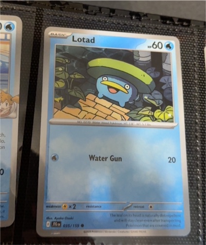 2025 Pokémon SV09: Journey Together #035 Lotad — front