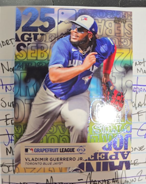 2025 Topps Training Grounds #TG7 Vladimir Guerrero Jr. — front