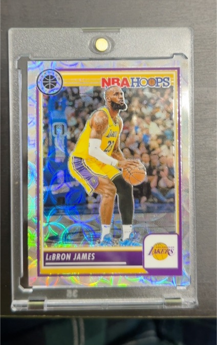 2023-24 Panini NBA Hoops Premium Stock #149 LeBron James — front