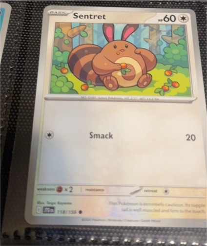 2023 Pokémon SV09: Journey Together #118 Sentret — front