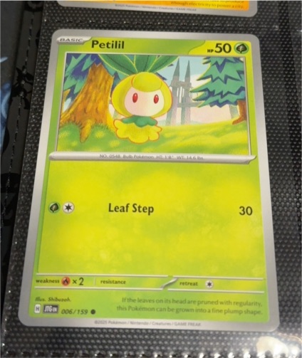2025 Pokémon Journey Together #006 Petilil — front