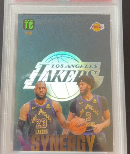 2023 Panini Top Class #250 LeBron James Synergy — front