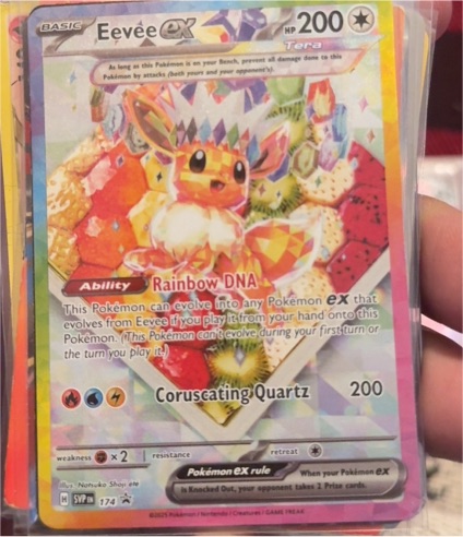 2023 Pokémon SV: Scarlet & Violet Promo #174 Eevee ex — front