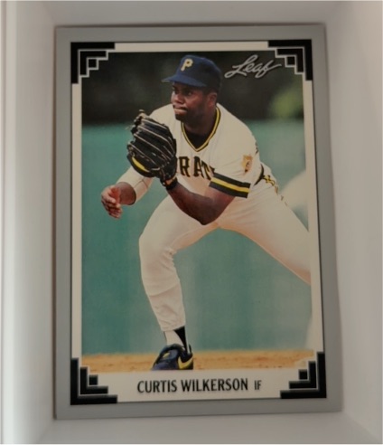 1991 Leaf #317 Curtis Wilkerson — front