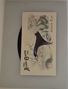 2025 Topps Allen & Ginter #FGW-18 Manta Ray — front